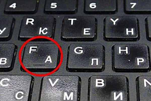 Официальный магазины котиков